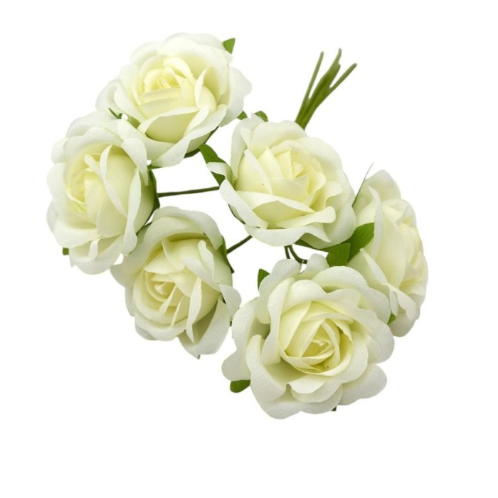 ROSA SFUMATA APERTA PANNA D4